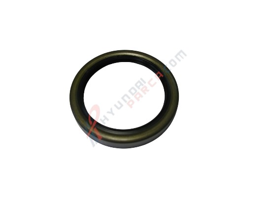 DIŞ YAĞ KEÇESİ STAREX / H1 52820-4A000-HMC
